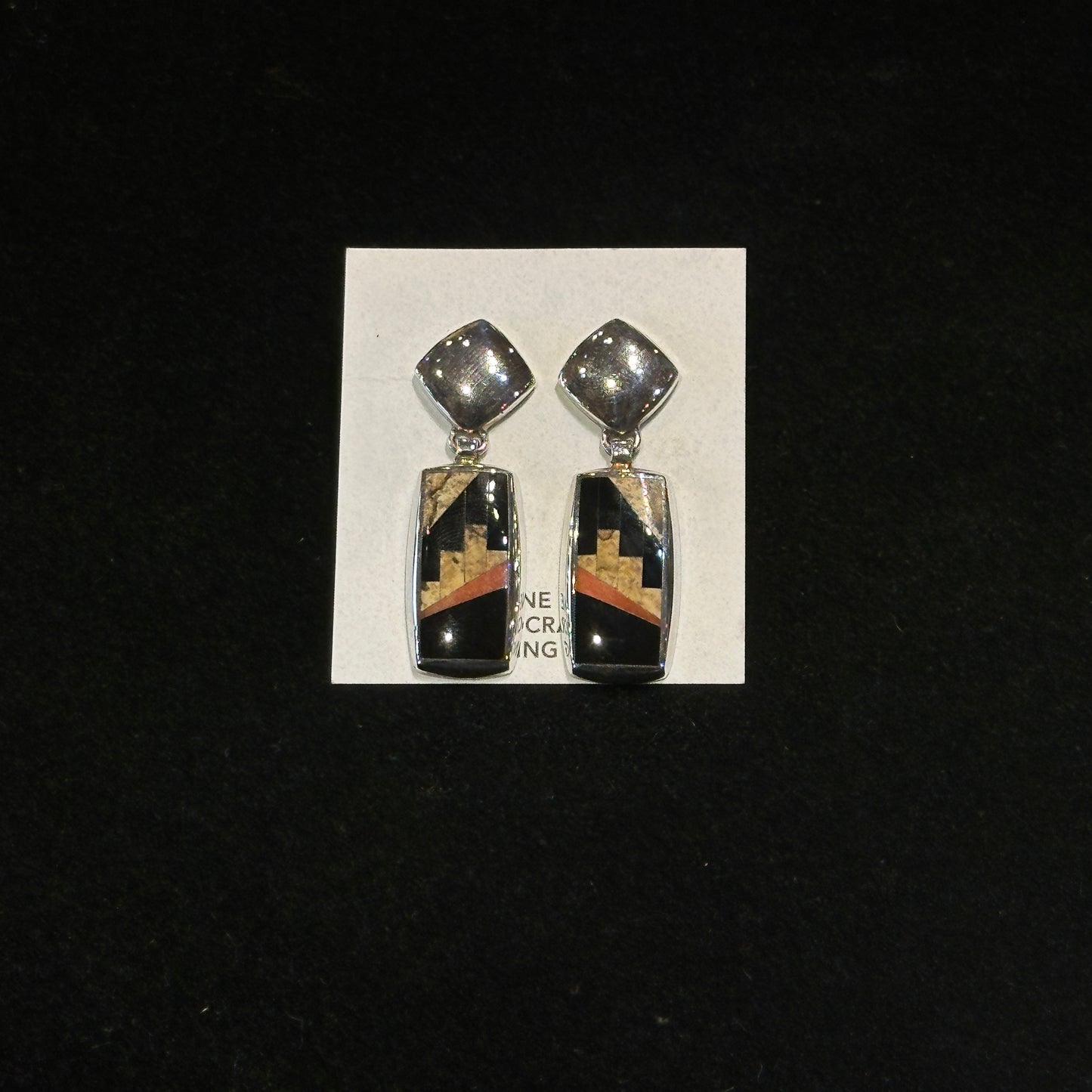 Native Earth rectangle earrings.