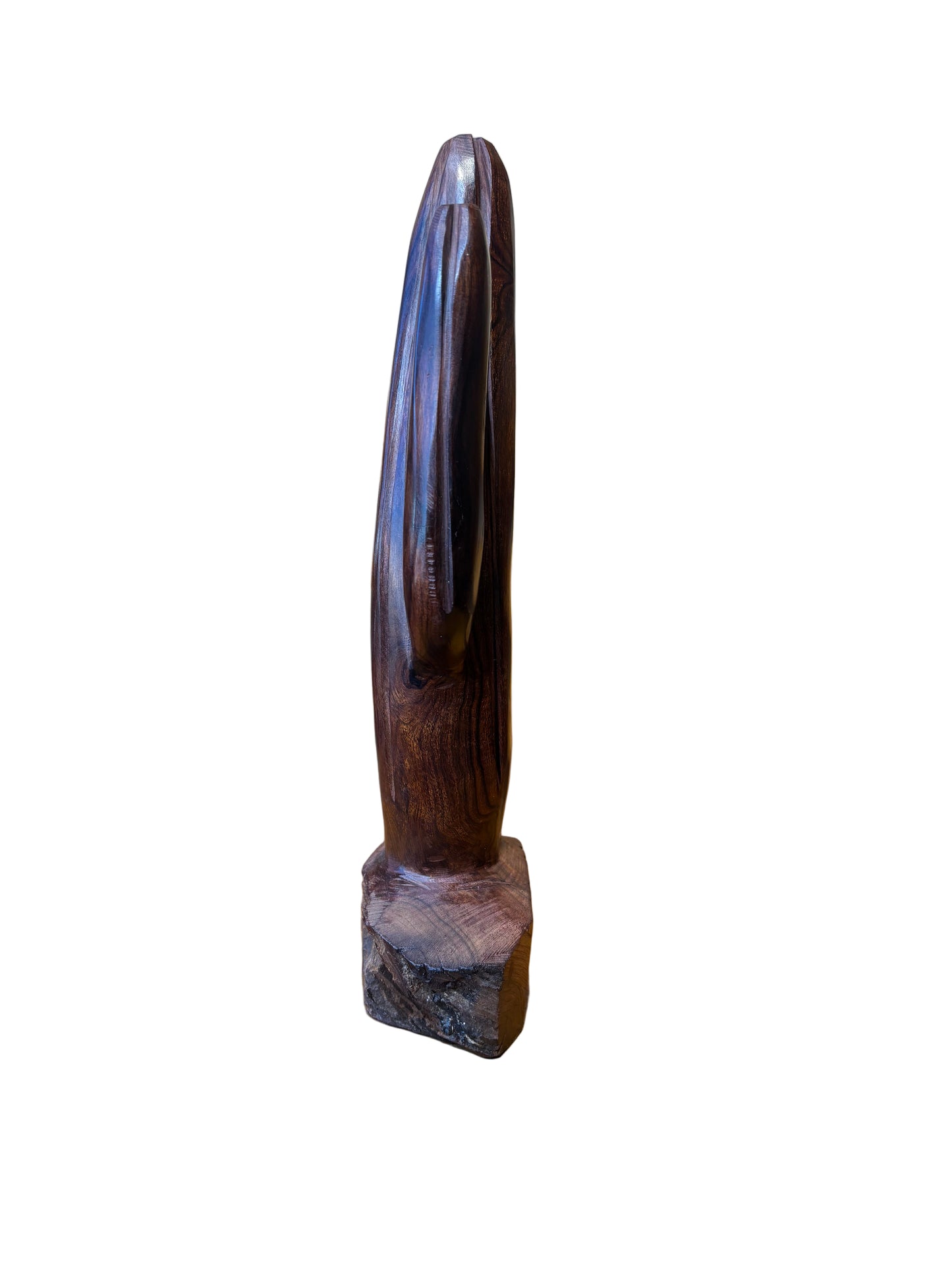 Ironwood Saguaro Catus Medium