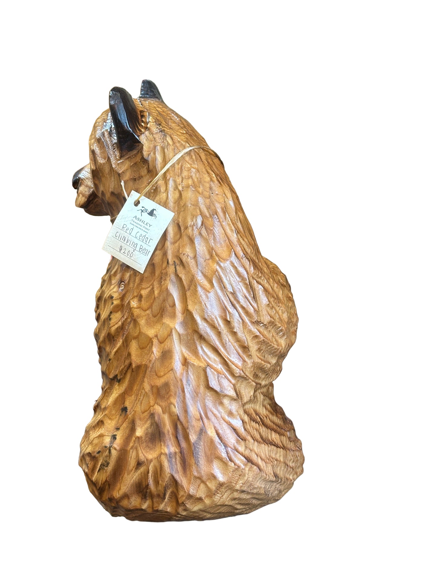 Red Cedar Climbing Bear