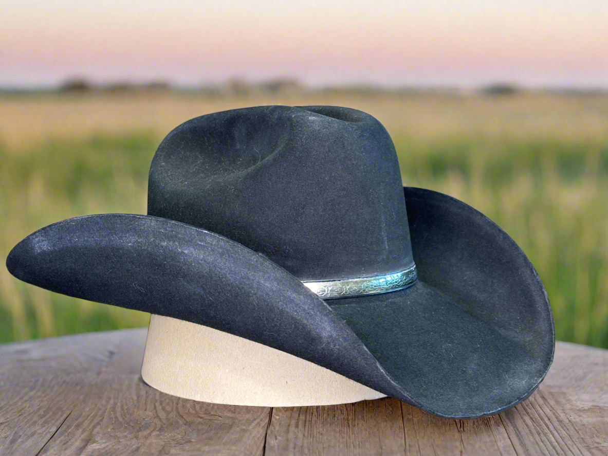Boss Of The Plains