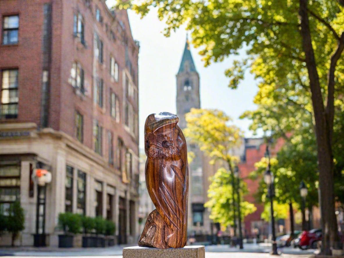Ironwood Owl Carving Medium