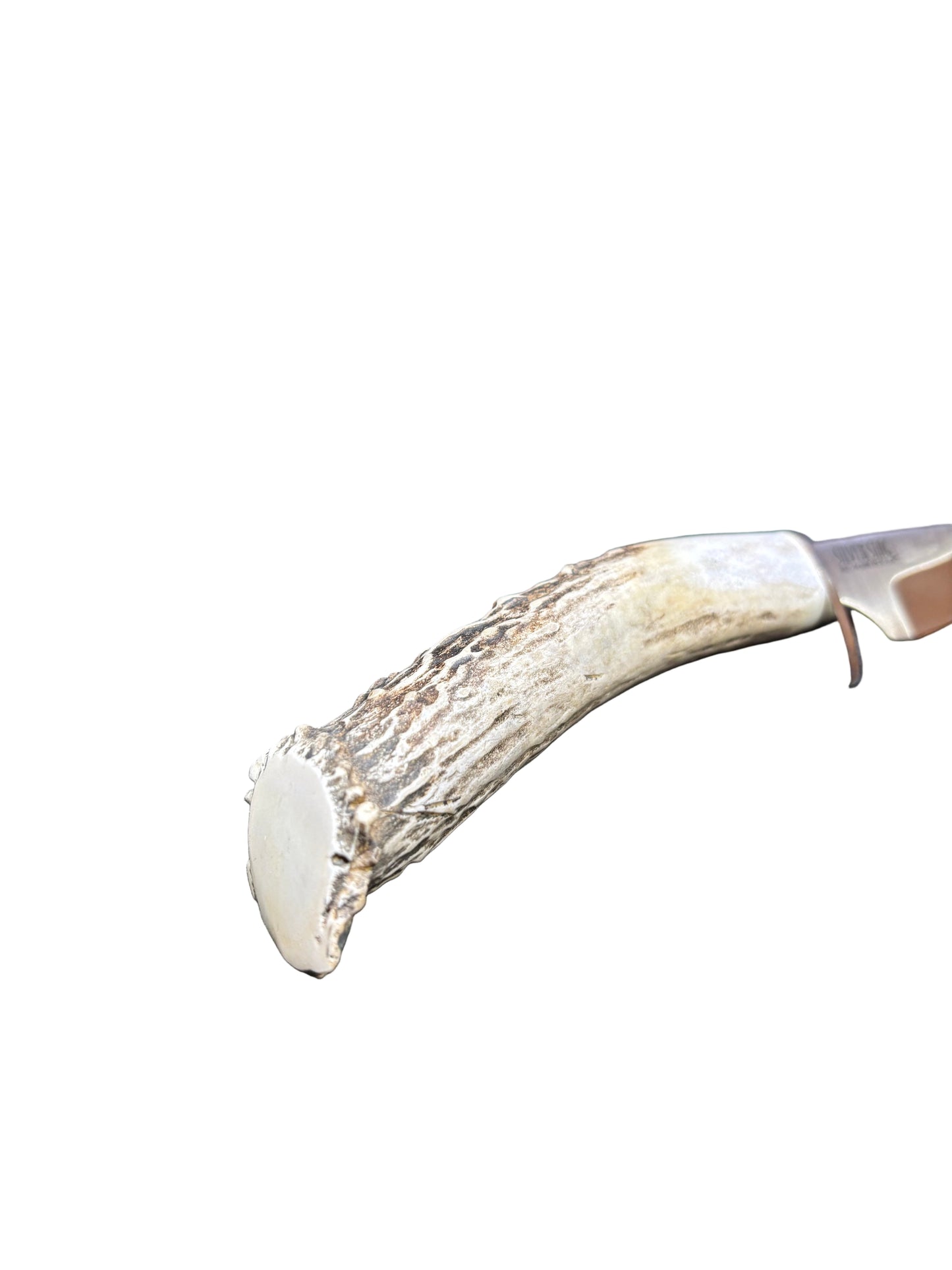 Silverstag's Crown Casper