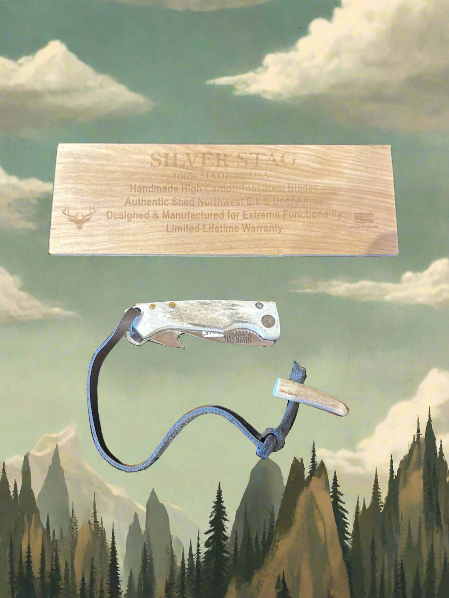 Silver stag folding knife With gut hook.