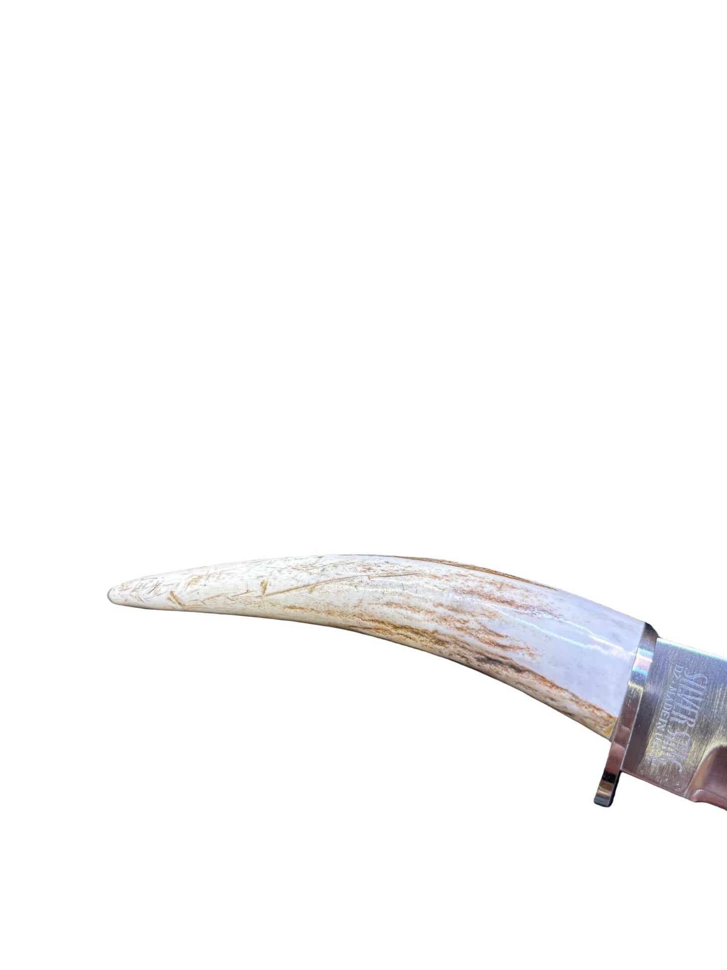 Silverstag's sharp forest