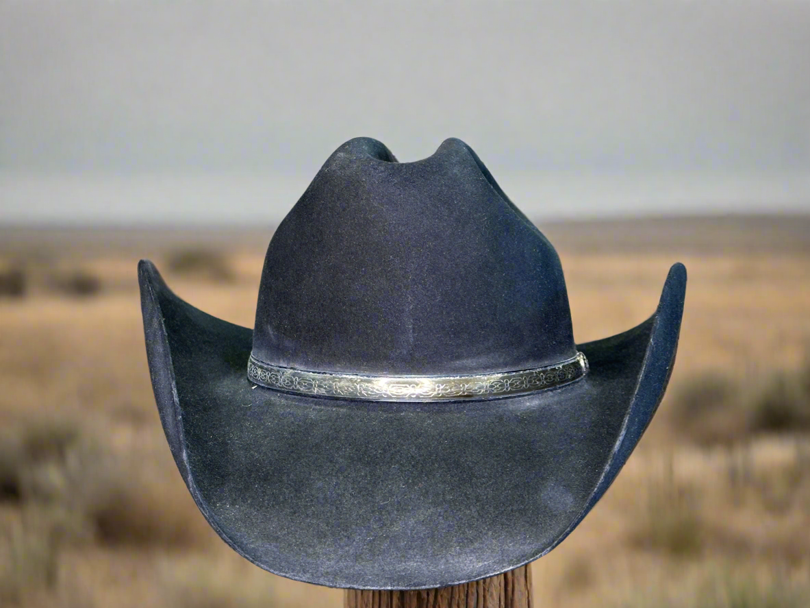 Boss Of The Plains