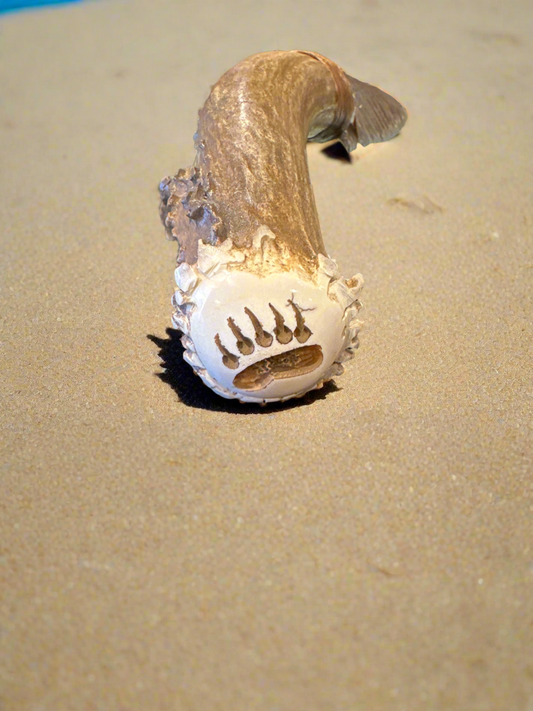 Antler Handle Obsidian Knife with Bear Paw Carved In Hilt