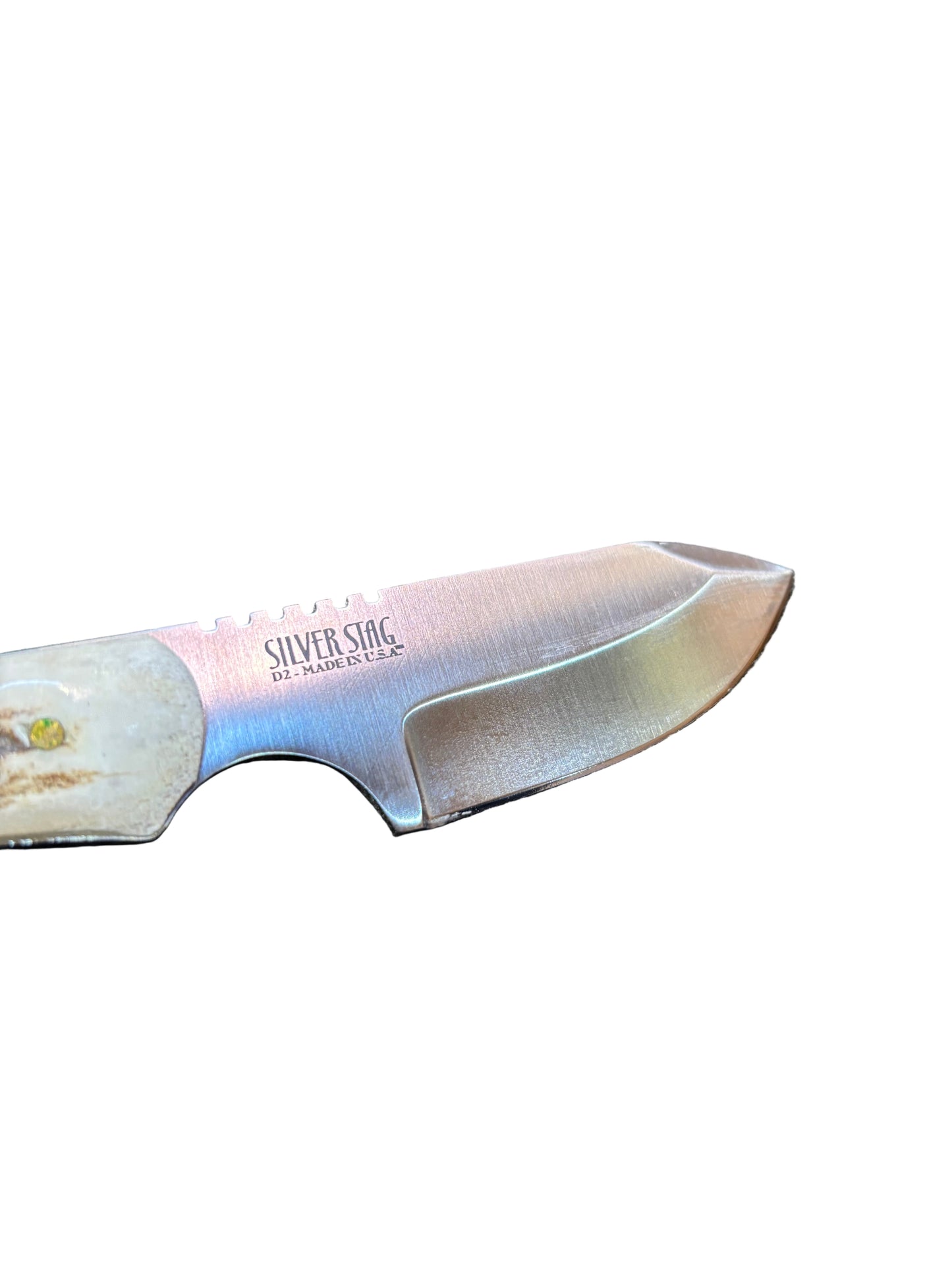 Silverstag's Joey Boy