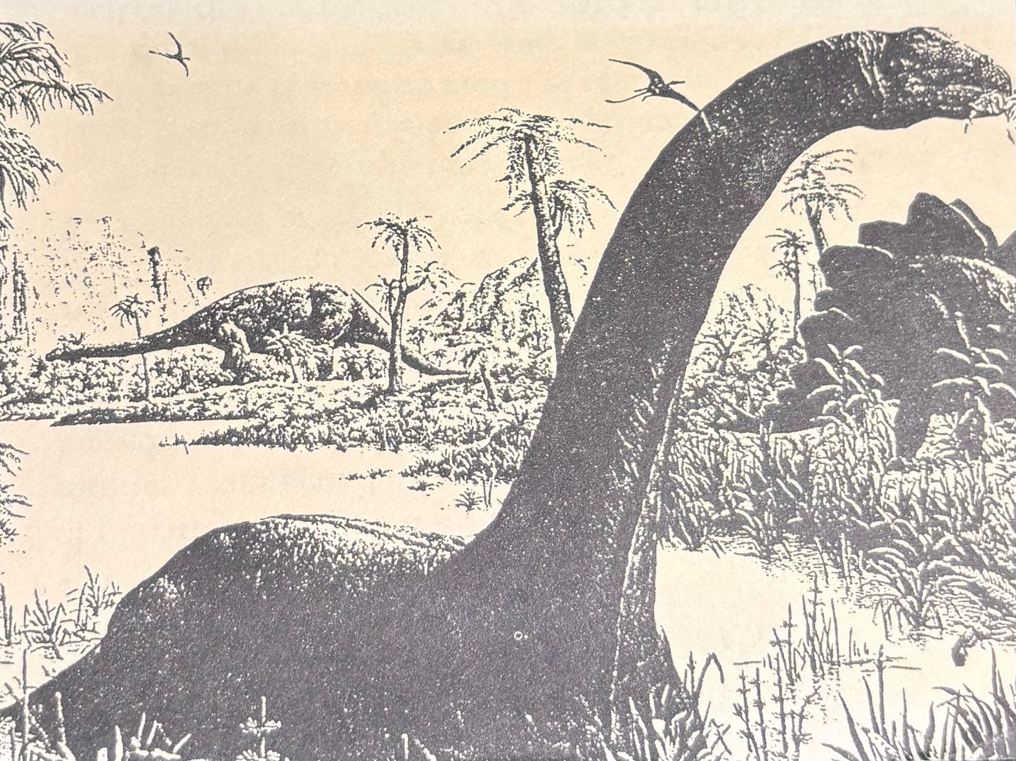 Santa Fe Stoneworks Fossile Pocket Knife