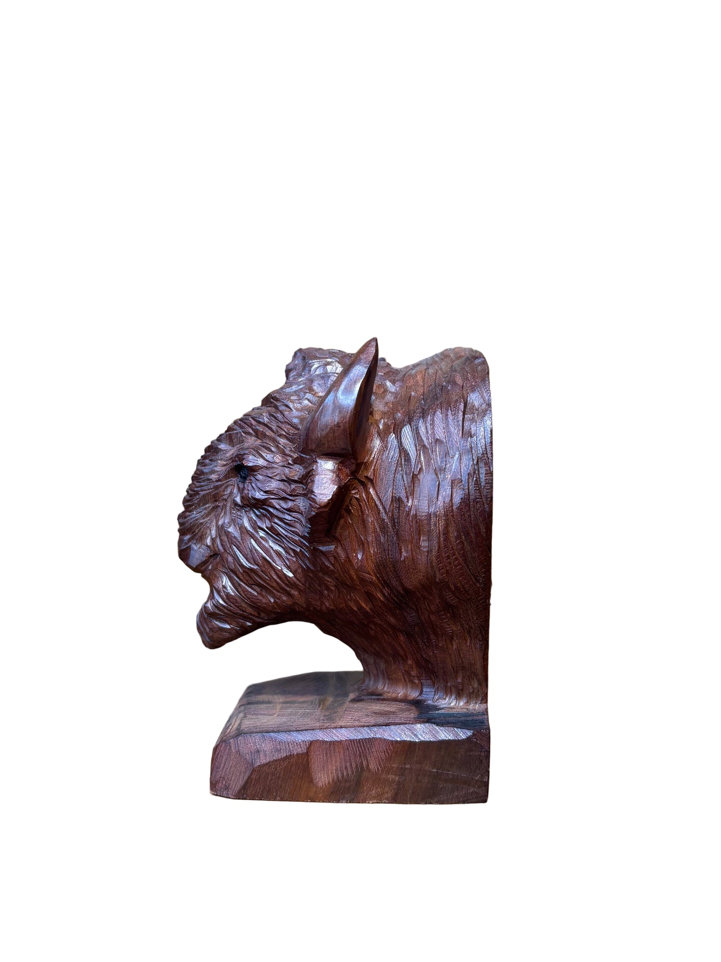 Ironwood Buffalo Head Bookend
