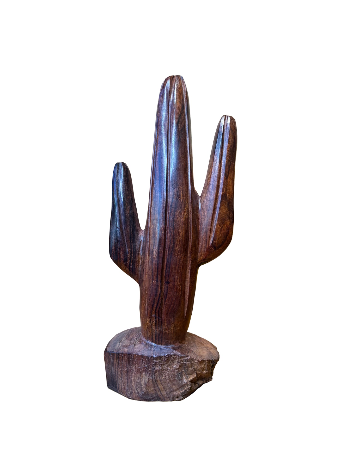 Ironwood Saguaro Catus Medium