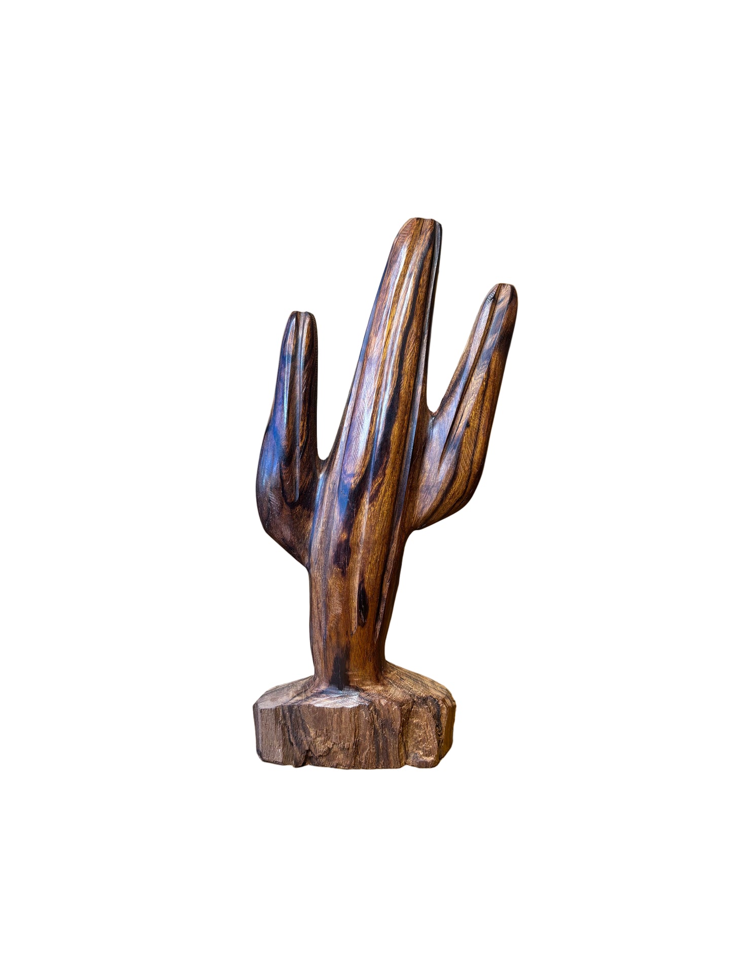 Ironwood Saguaro Catus Medium