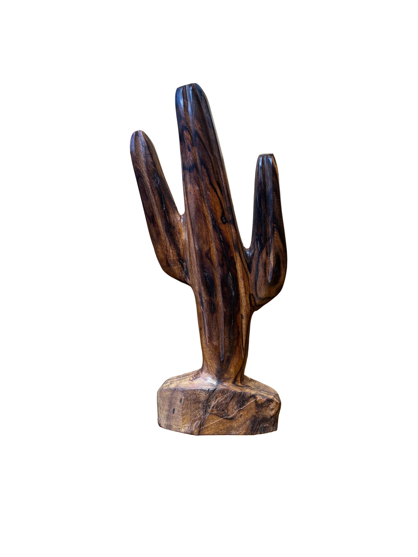 Ironwood Saguaro Catus Medium