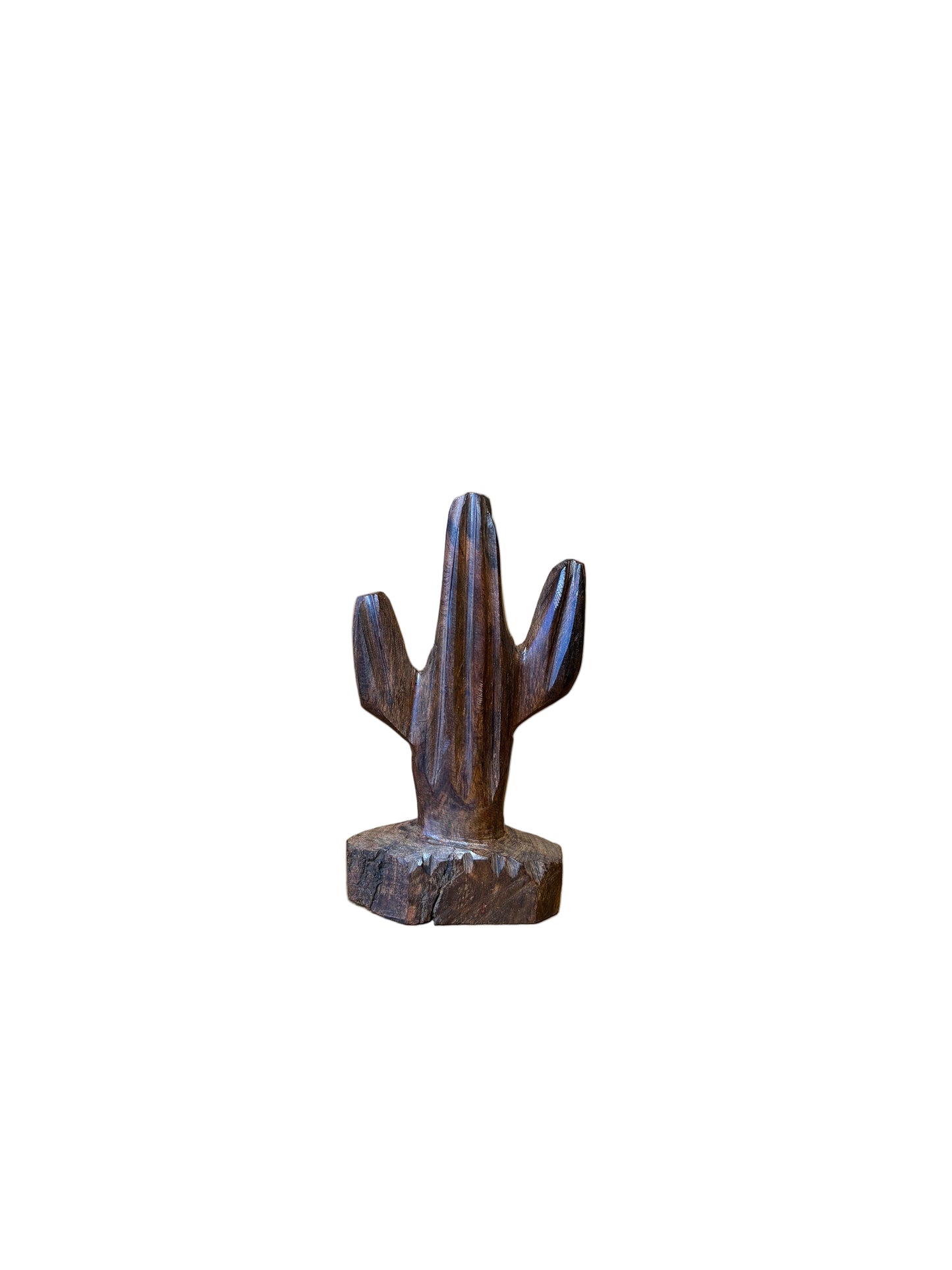 Ironwood Saguaro Cactus  Extra Small