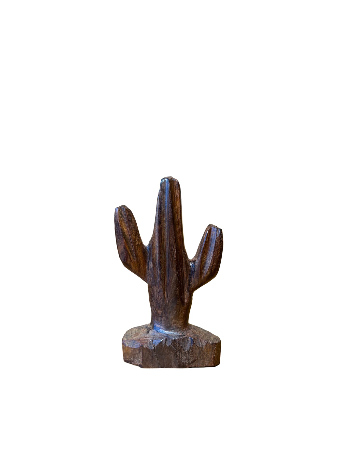Ironwood Saguaro Cactus  Extra Small