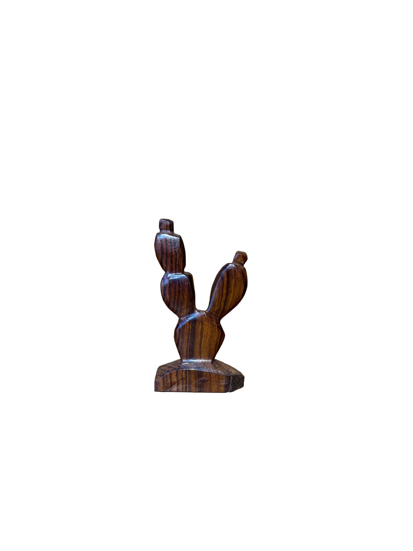 Ironwood Saguaro Catus Small