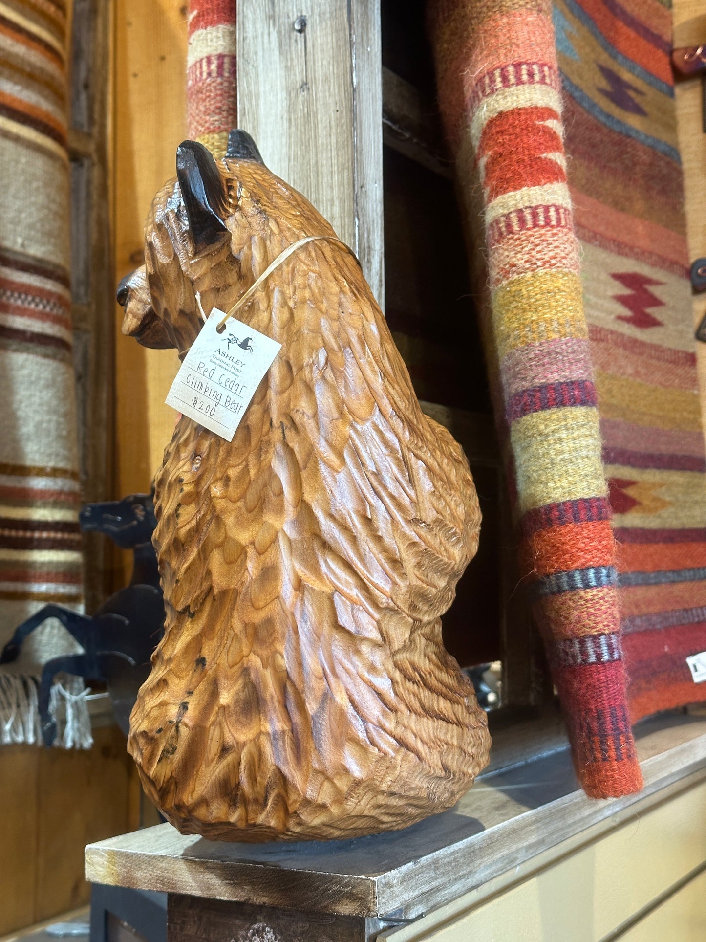 Red Cedar Climbing Bear